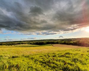 Preview wallpaper grass, field, trees, bushes, rays, sky