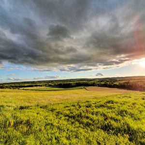 Preview wallpaper grass, field, trees, bushes, rays, sky