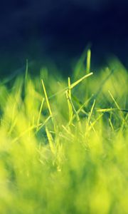 Preview wallpaper grass, field, turf, light, shadow