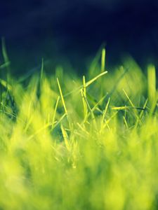 Preview wallpaper grass, field, turf, light, shadow