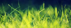 Preview wallpaper grass, field, turf, light, shadow
