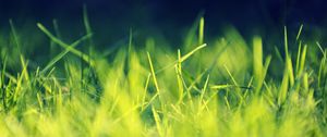 Preview wallpaper grass, field, turf, light, shadow