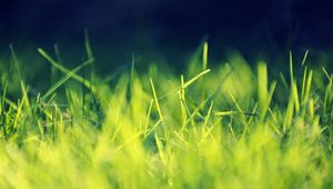 Preview wallpaper grass, field, turf, light, shadow