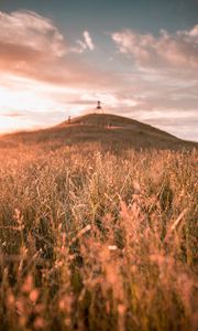 Preview wallpaper grass, field, wild, hill, landscape