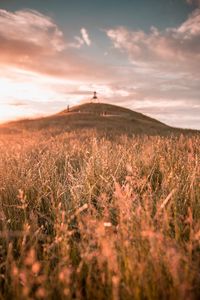 Preview wallpaper grass, field, wild, hill, landscape