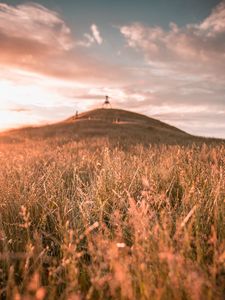 Preview wallpaper grass, field, wild, hill, landscape