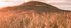 Preview wallpaper grass, field, wild, hill, landscape