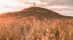 Preview wallpaper grass, field, wild, hill, landscape