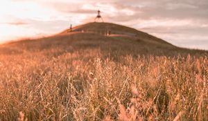 Preview wallpaper grass, field, wild, hill, landscape