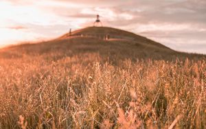 Preview wallpaper grass, field, wild, hill, landscape