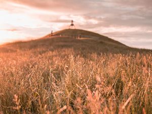 Preview wallpaper grass, field, wild, hill, landscape