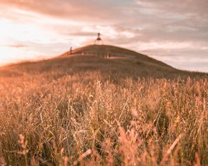 Preview wallpaper grass, field, wild, hill, landscape
