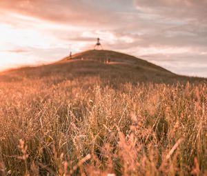 Preview wallpaper grass, field, wild, hill, landscape