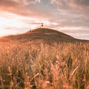 Preview wallpaper grass, field, wild, hill, landscape