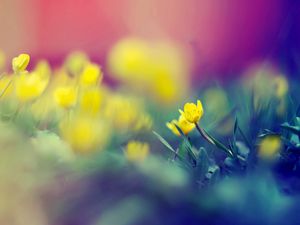 Preview wallpaper grass, flowers, blurred, light, spots
