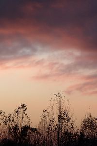 Preview wallpaper grass, flowers, clouds, sky, dark
