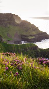 Preview wallpaper grass, flowers, island, cliff, sea