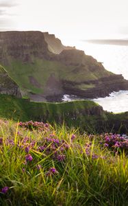 Preview wallpaper grass, flowers, island, cliff, sea