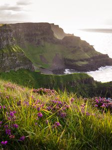 Preview wallpaper grass, flowers, island, cliff, sea