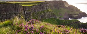 Preview wallpaper grass, flowers, island, cliff, sea