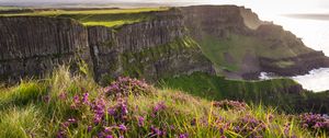 Preview wallpaper grass, flowers, island, cliff, sea