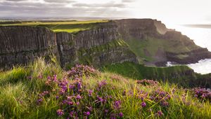 Preview wallpaper grass, flowers, island, cliff, sea