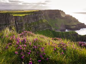 Preview wallpaper grass, flowers, island, cliff, sea