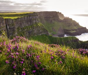 Preview wallpaper grass, flowers, island, cliff, sea