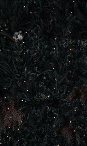 Preview wallpaper grass, flowers, leaves, aerial view