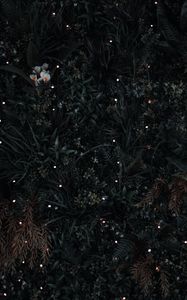Preview wallpaper grass, flowers, leaves, aerial view