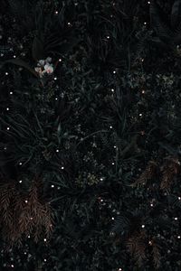 Preview wallpaper grass, flowers, leaves, aerial view