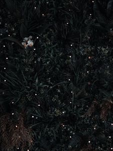 Preview wallpaper grass, flowers, leaves, aerial view