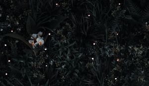 Preview wallpaper grass, flowers, leaves, aerial view