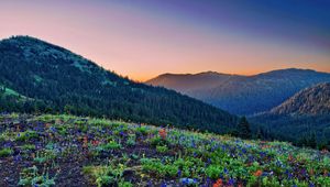 Preview wallpaper grass, flowers, stones, mountains, slopes, hills, wood, light, orange