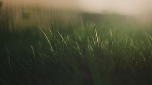 Preview wallpaper grass, fog, light, dark, background