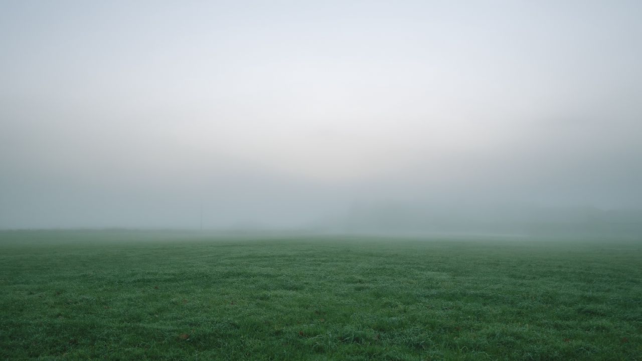 Wallpaper grass, fog, thick, impenetrable, field