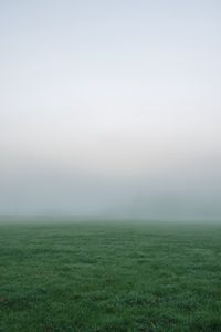 Preview wallpaper grass, fog, thick, impenetrable, field