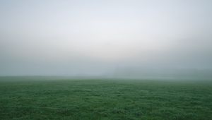 Preview wallpaper grass, fog, thick, impenetrable, field