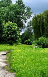 Preview wallpaper grass, forest, trees, trail