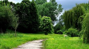 Preview wallpaper grass, forest, trees, trail