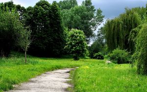 Preview wallpaper grass, forest, trees, trail