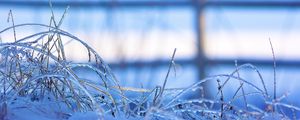 Preview wallpaper grass, frost, cold, snow, winter