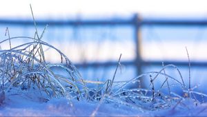 Preview wallpaper grass, frost, cold, snow, winter