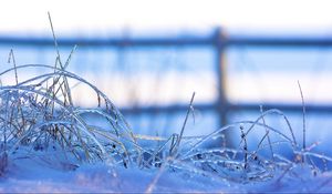 Preview wallpaper grass, frost, cold, snow, winter