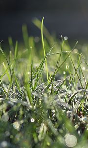 Preview wallpaper grass, frost, macro, light, bokeh