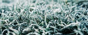 Preview wallpaper grass, frost, macro, winter