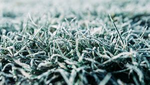 Preview wallpaper grass, frost, macro, winter