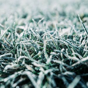 Preview wallpaper grass, frost, macro, winter