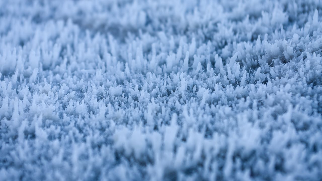 Wallpaper grass, frost, macro, blur