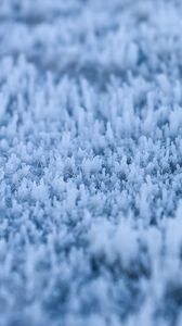 Preview wallpaper grass, frost, macro, blur